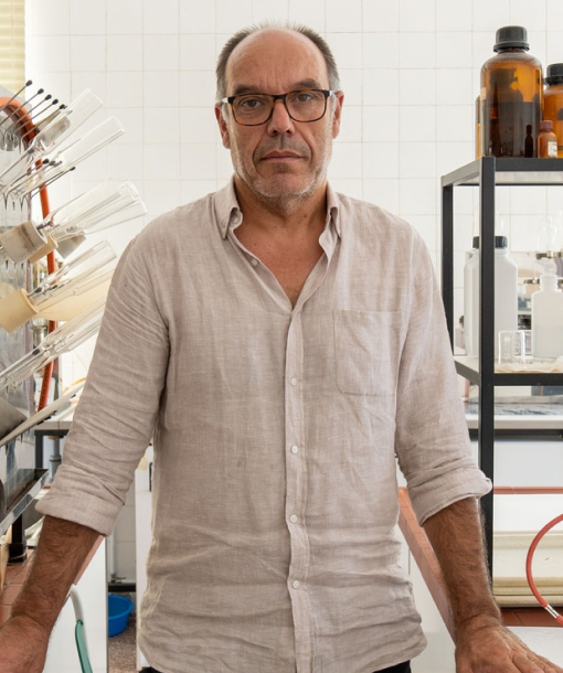 Pedro Rodrigues